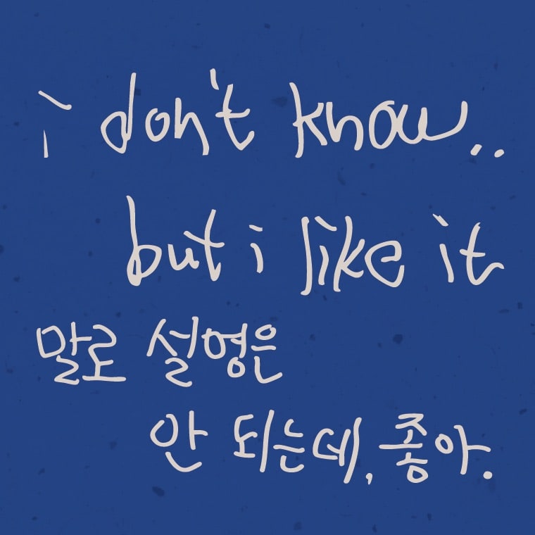 Hand-lettered phrase "I don't know... but I like it" in cream ink with Korean text below, on a deep blue background.